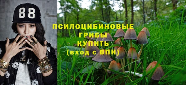 jwh Верея