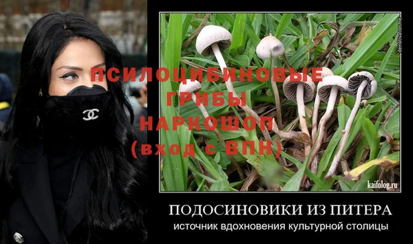jwh Верея