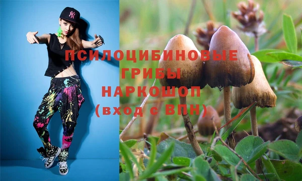 jwh Верея