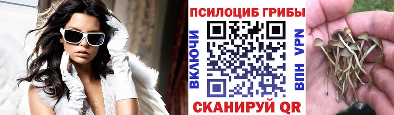 Галлюциногенные грибы Psilocybe  Северобайкальск 
